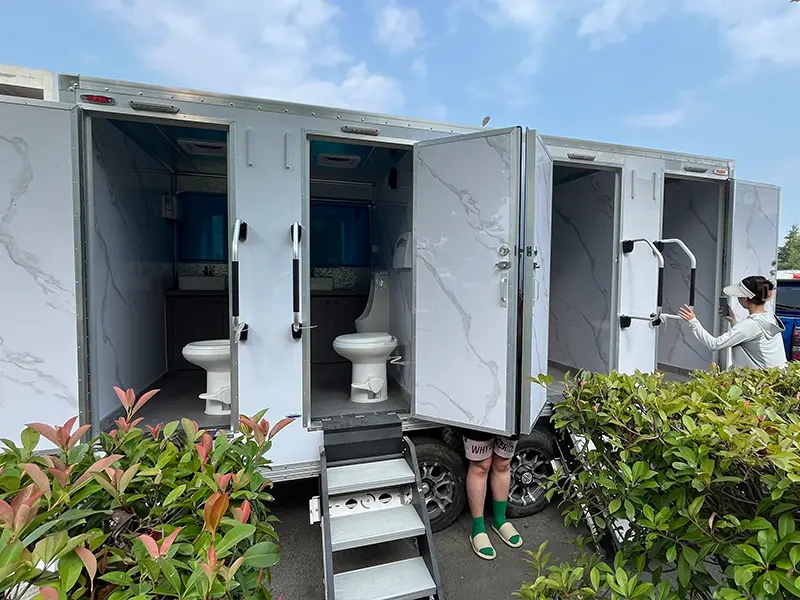 Toiletvogne